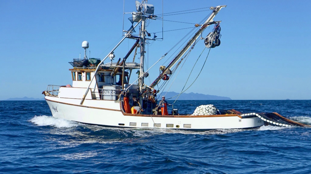 and com!buy cheap commercial fishing boat of boats stingray boats 
